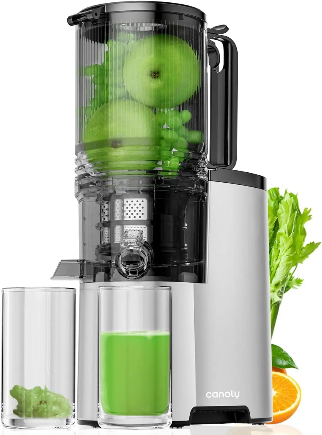 Premium Cold Press Juicer