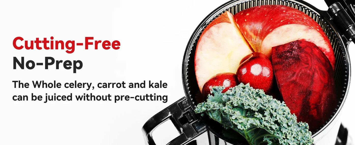 Clear Slow Masticating Juicer