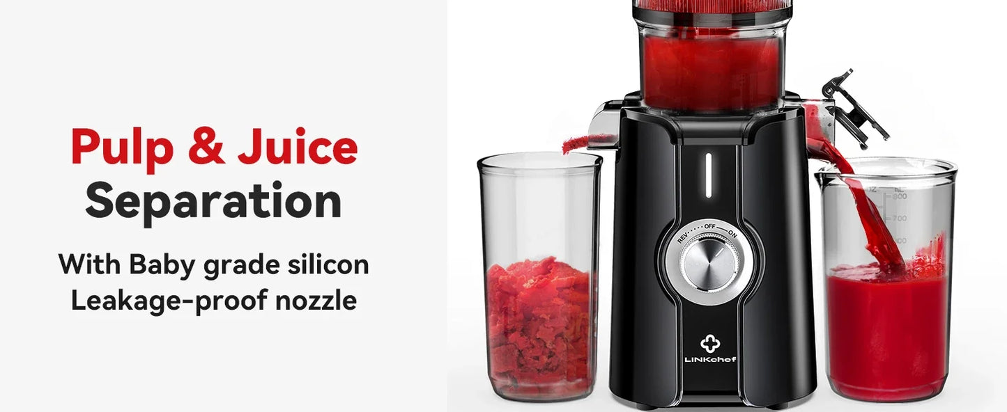 Clear Slow Masticating Juicer