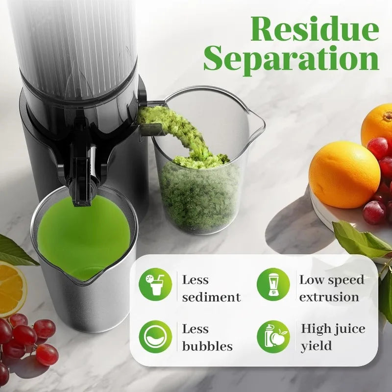 Premium Cold Press Juicer