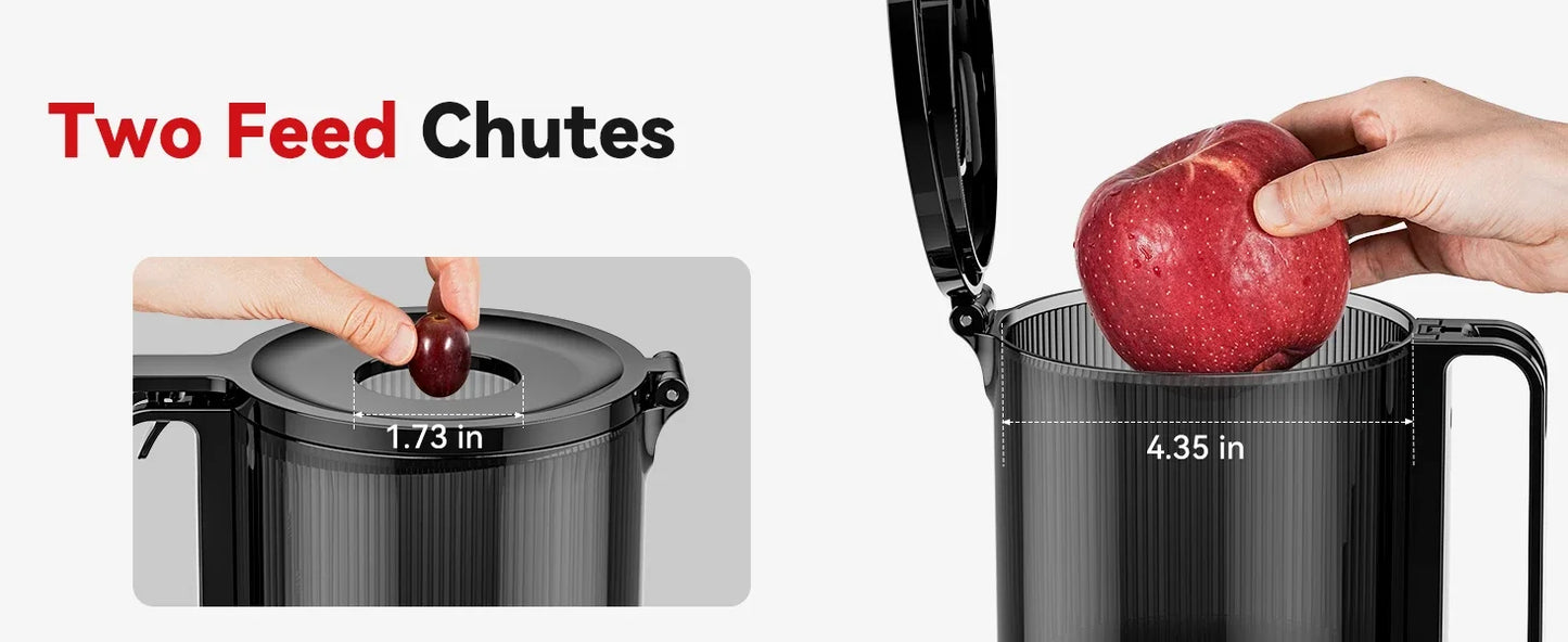 Clear Slow Masticating Juicer